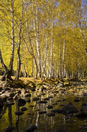 Xinjiang Province, Aletai,