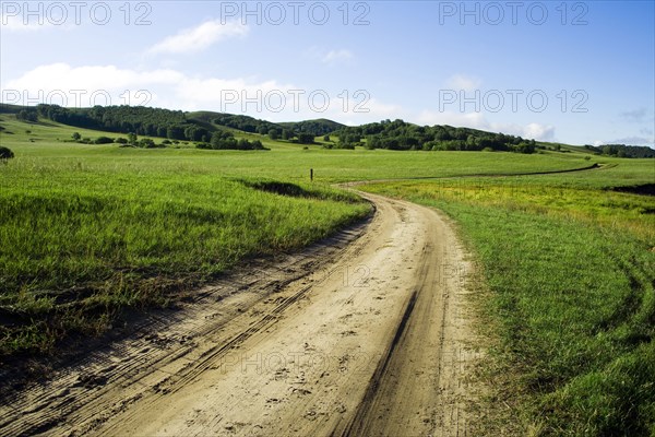 Bashang grassland in Inner Mongolia