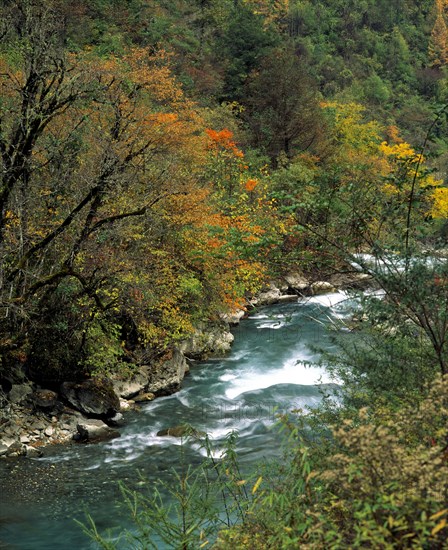 Sichuan Province, Miyaluo