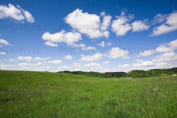 Bashang grassland in Inner Mongolia