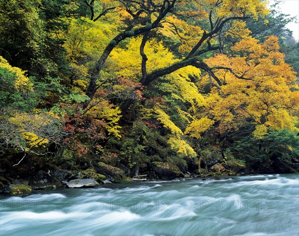 Sichuan Province,Miyaluo