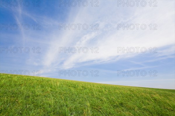 Bashang grassland in Inner Mongolia