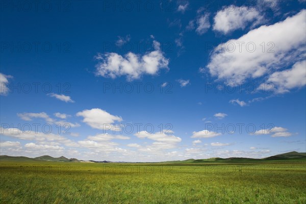 Bashang grassland in Inner Mongolia