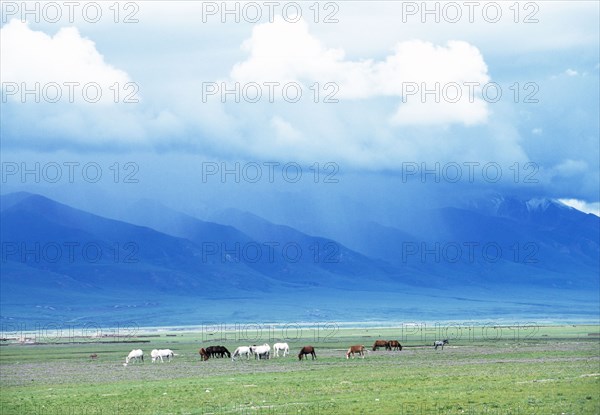 Tibet