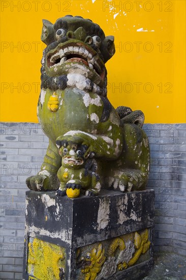 Chongqing Luo Hansi