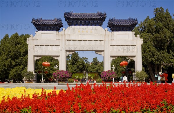 Beijing,Zhongshan Park,Chrysanthemum,