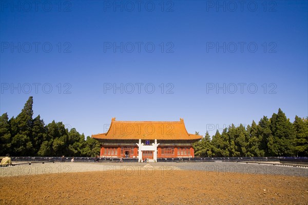 Beijing,Zhongshan Park,Chrysanthemum,