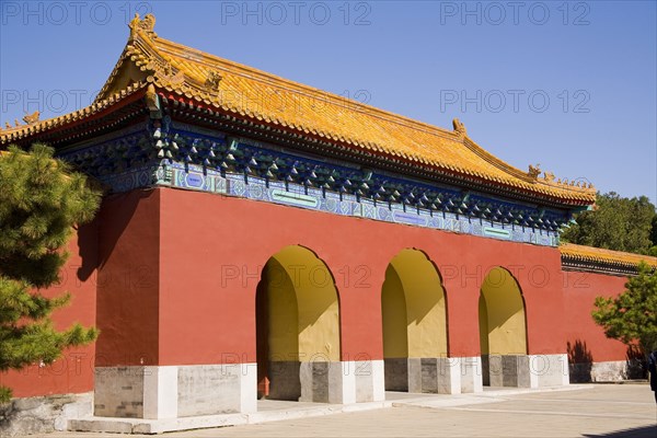 Beijing,Zhongshan Park,Chrysanthemum,