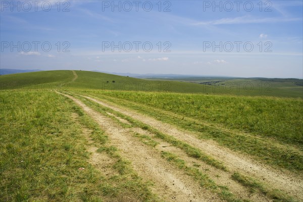 Bashang grassland in Inner Mongolia