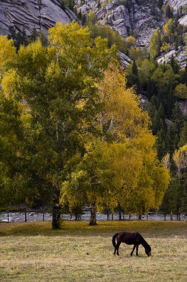 National Geopark,Xinjiang