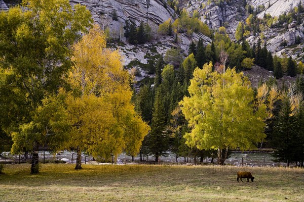 National Geopark,Xinjiang