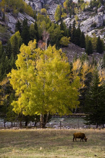 National Geopark,Xinjiang