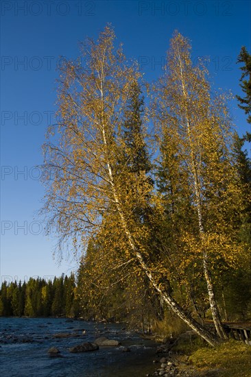Altay Xinjiang, Kanas,