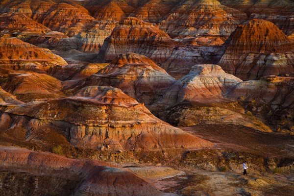 Xinjiang colorful city