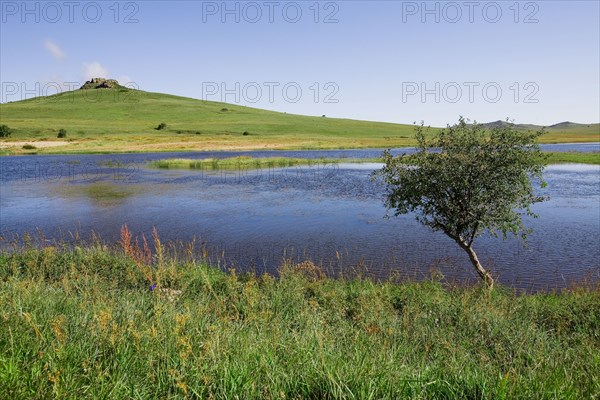 Bashang grassland in Inner Mongolia
