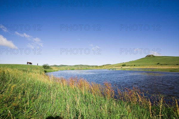 Bashang grassland in Inner Mongolia