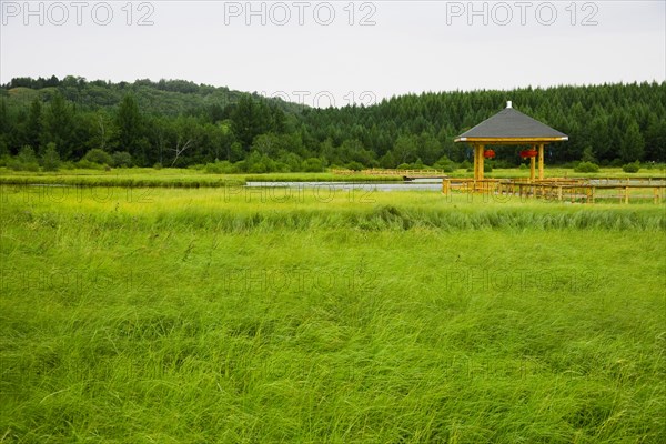 Bashang grassland in Hebei