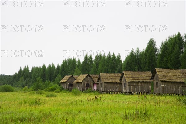 Bashang grassland in Hebei