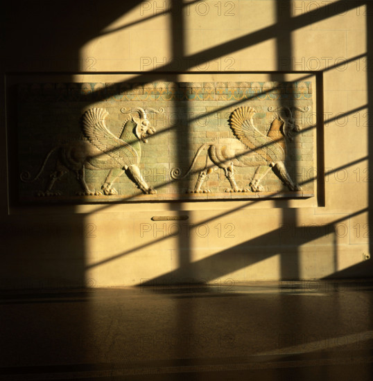 Griffons ailés passant à droite