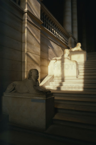 Allée de sphinx présentée au Musée du Louvre