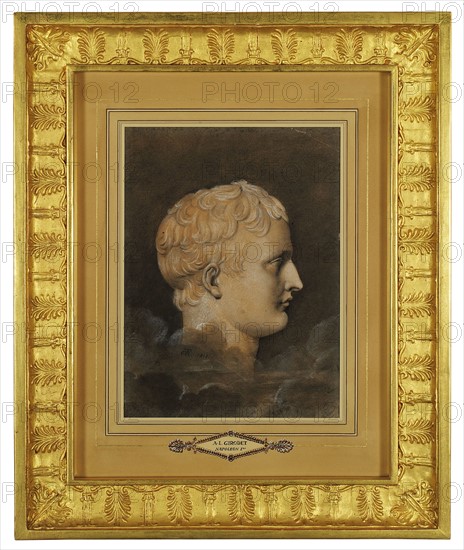 Girodet-Trioson, Portrait de Napoléon de profil