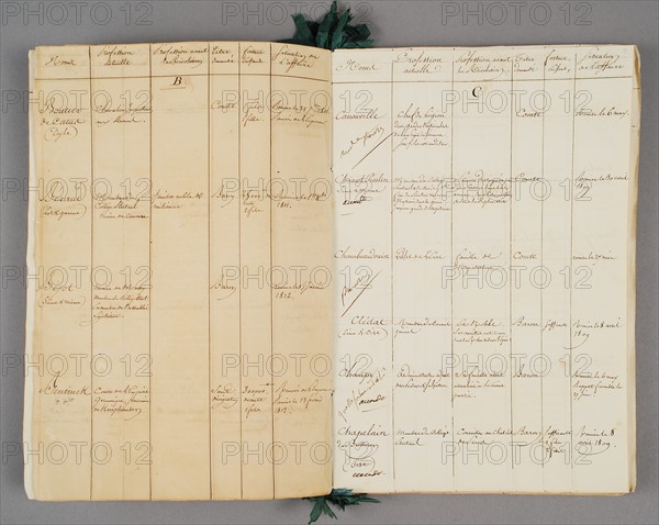 Napoléon et Cambacérès, 
Manuscrit concernant les titres de noblesse de l'Empire