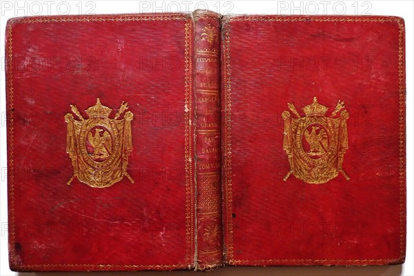 History of France, Napoleon I by David