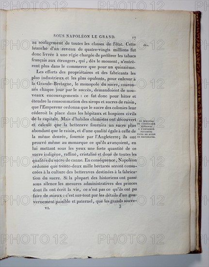 Histoire de France, Napoléon le Grand par David