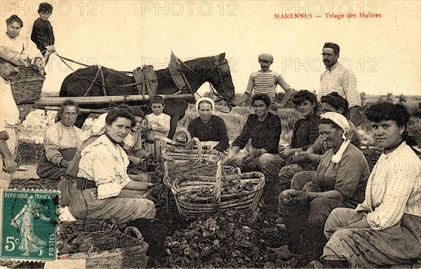 Oyster-farmers in Marennes