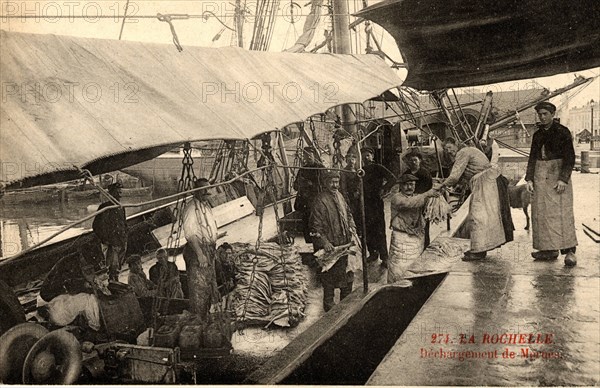 Fishermne of the port of  La Rochelle