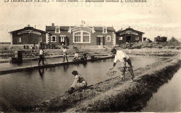 Oyster-farming business
Tremblade