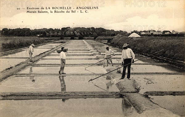 Récolte du sel, marais salant
Angoulins