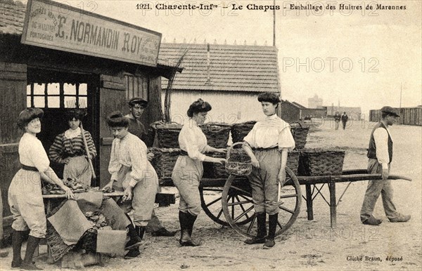 Packaging oysters
Chapus