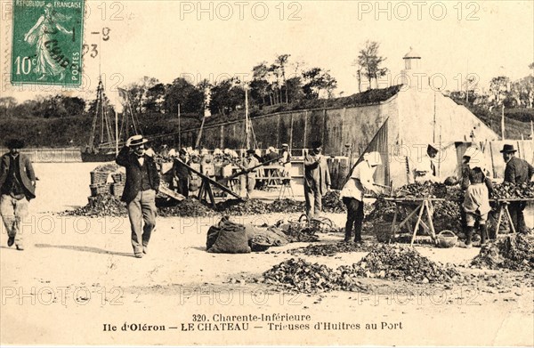 Oyster-farming work
Château d'Oléron