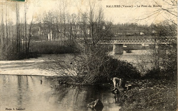 Nalliers