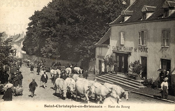 Troupeau de vaches
SAINT-CHRISTOPHE-EN-BRIONNAIS