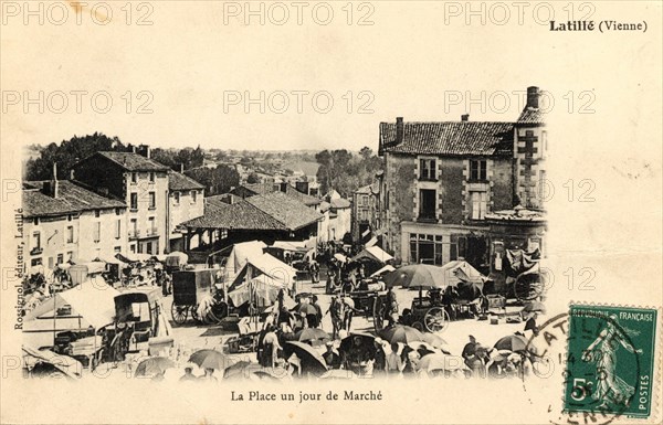 Marché
Latille