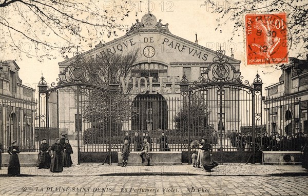 Plaine-Saint-Denis, 
Perfumery Violet