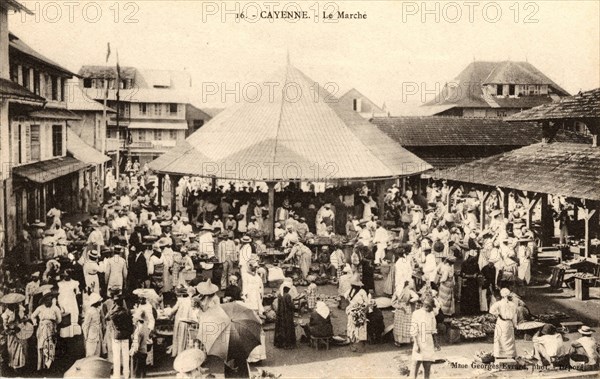 Cayenne,
Market