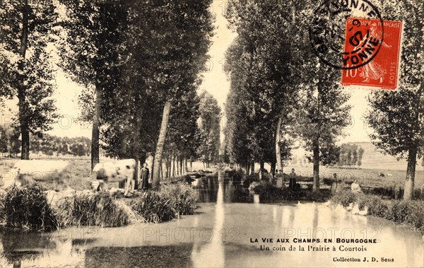 Courtois-sur-Yonne