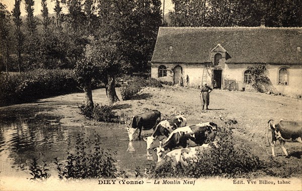 Diey,
Mill