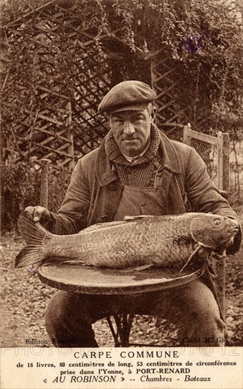 Port-Renard,
Pêcheur et carpe