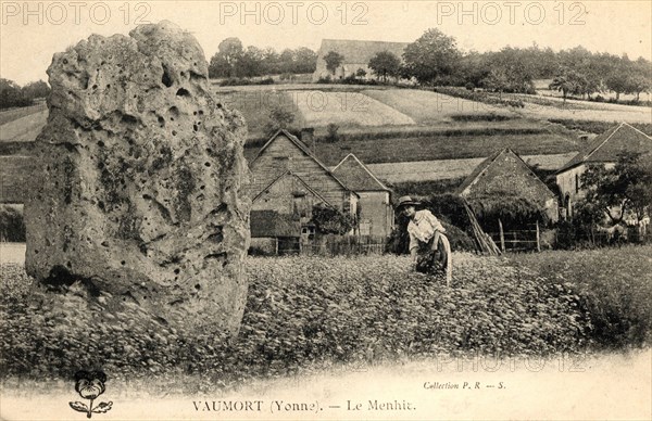 VAUMORT