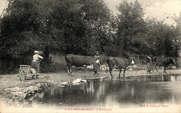 SAINT-ILLIERS-LE-BOIS