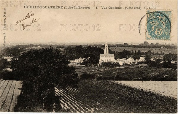 HAIE-FOUASSIERE