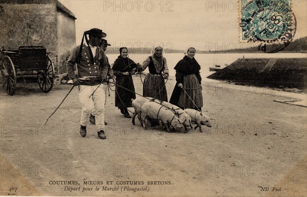 PLOUGASTEL-DAOULAS