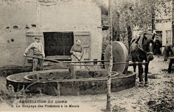 Making cider