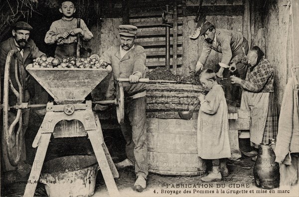 FABRICATION DU CIDRE