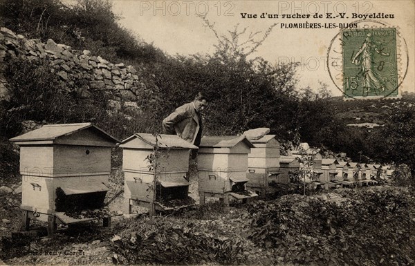 APICULTURE