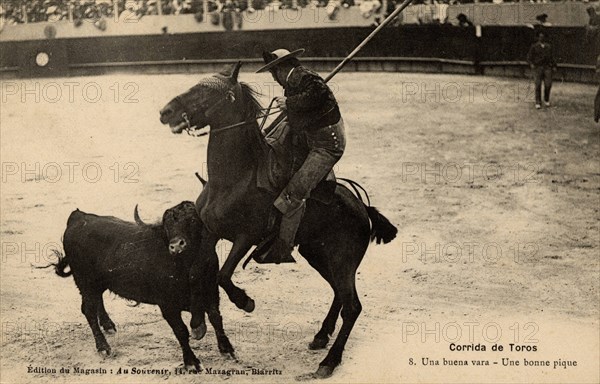 TAUROMACHIE